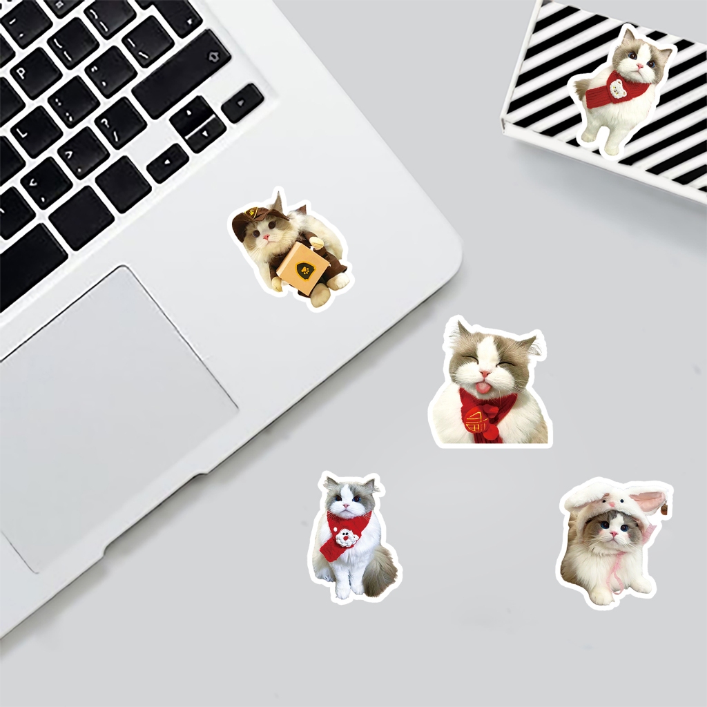 Hot Creative Super Cute 50pcs Ragdoll Cat meme Stickers DIY For Phones ...