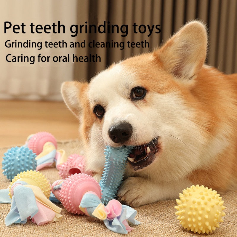 Dog Molar Toy Small and Medium-Sized Dogs Puppy Big Dog Bite-Resistant ...