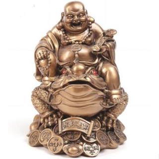 Chinese Mido Buddha Turtle and Buddha Statue Sculpture, Resin Modern ...