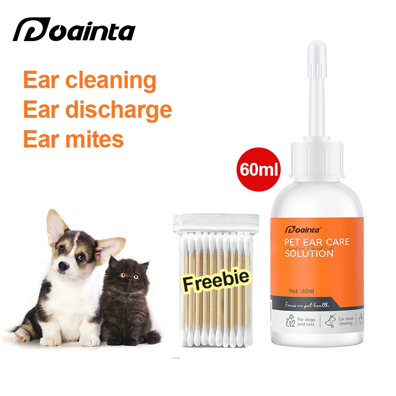 Professional Dog Ear Cleaning in Chicago | Pet Care Plus