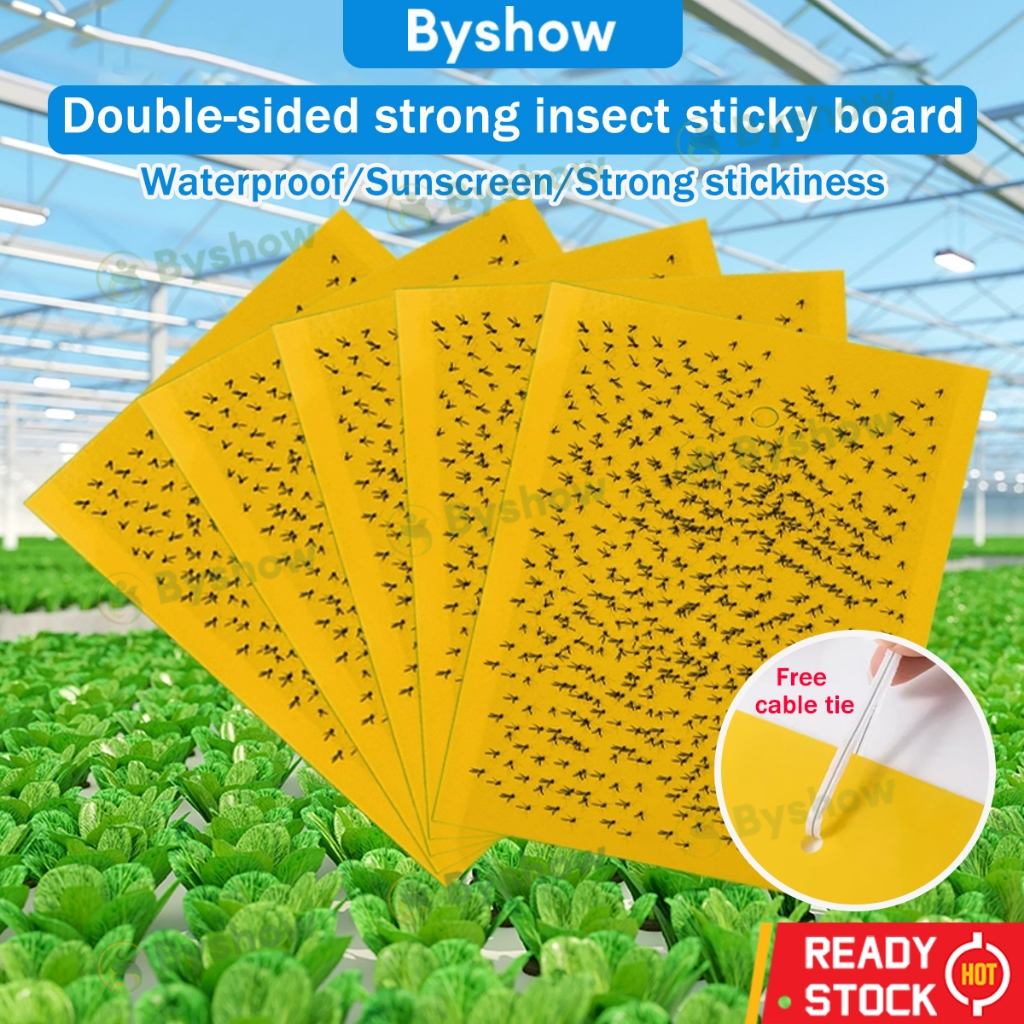 【Byshow】Malaysia In Stock Double Sides Yellow Sticky Trap Flies Trap ...