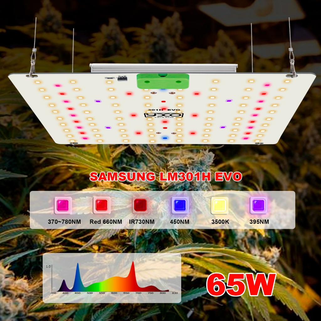 650W LED grow SamsungLM301H EVO dimmable full spectrum quantum board ...