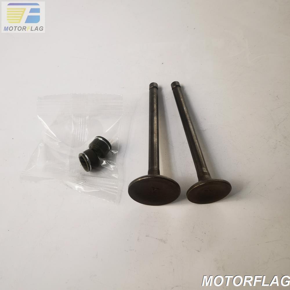 thumbnail image 2 of Intake & Exhaust Valve Set For GM LS V8 4.8 5.3 6.0L 2005-2009 - Cequent Unbranded 2 of 4