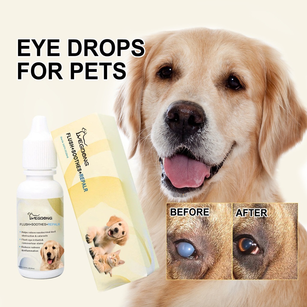 Golden eye drops for dogs online