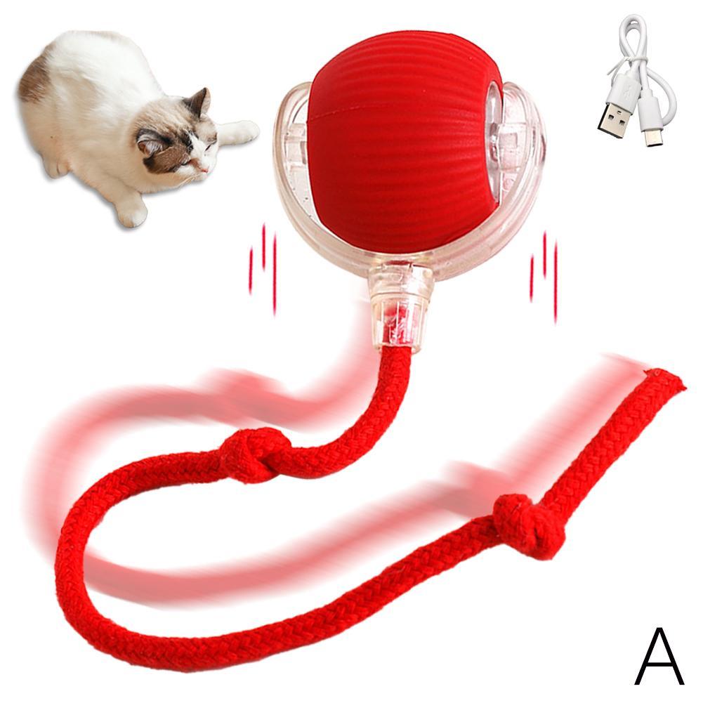 Motion sensor activated cat toys best sale