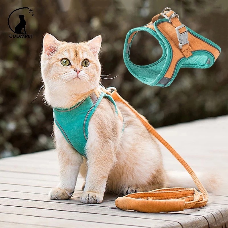 Escape-Proof Pet Harness and Leash Set Training Walking Leads for Small ...
