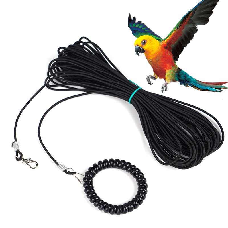 Pet Bird Outdoor Training Harness Rope Bird foot Chain Parrot Anti ...