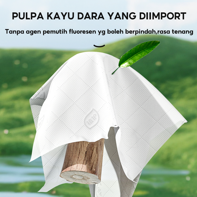 [6 pcs]Botare Air Cushion Tissue Deluxe Soft Pack Facial Tissue Large 4 ...