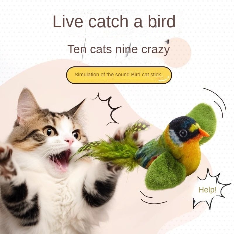 Domestic Cats My Cat Caught A Bird 9+ Hundred Cat Kills Bird