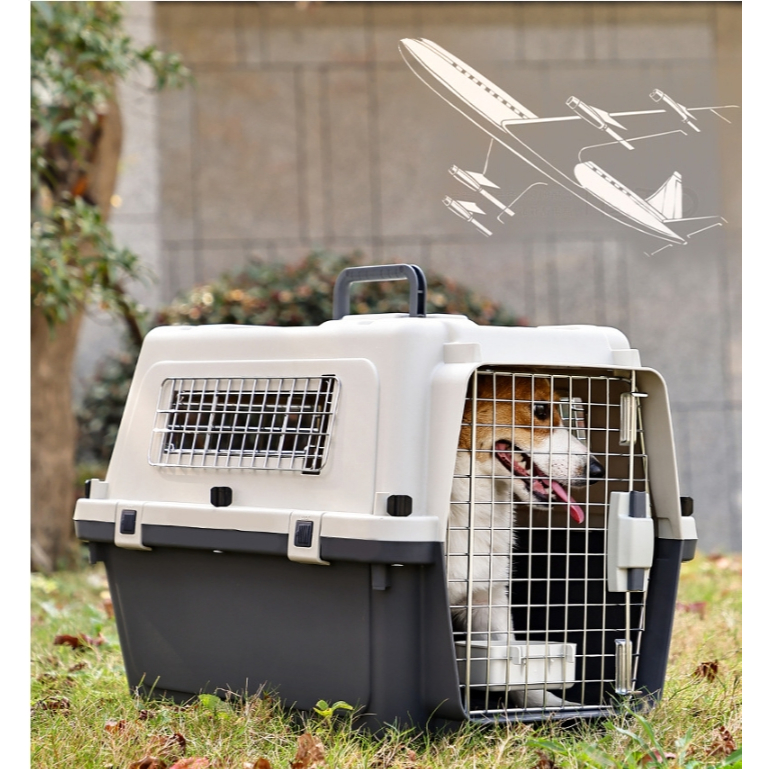 Dog Crate International Dog Transport Dog Crates For International Flights  Store