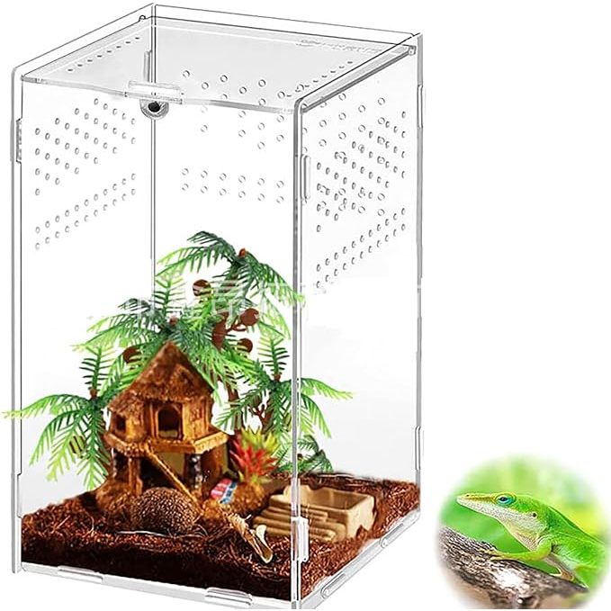 Terrarium Pour Araignée Sauteuse - Enceinte Acrylique Ventilée - 30x15x15 Cm - Pour Gecko, Grenouille, Mante Religieuse