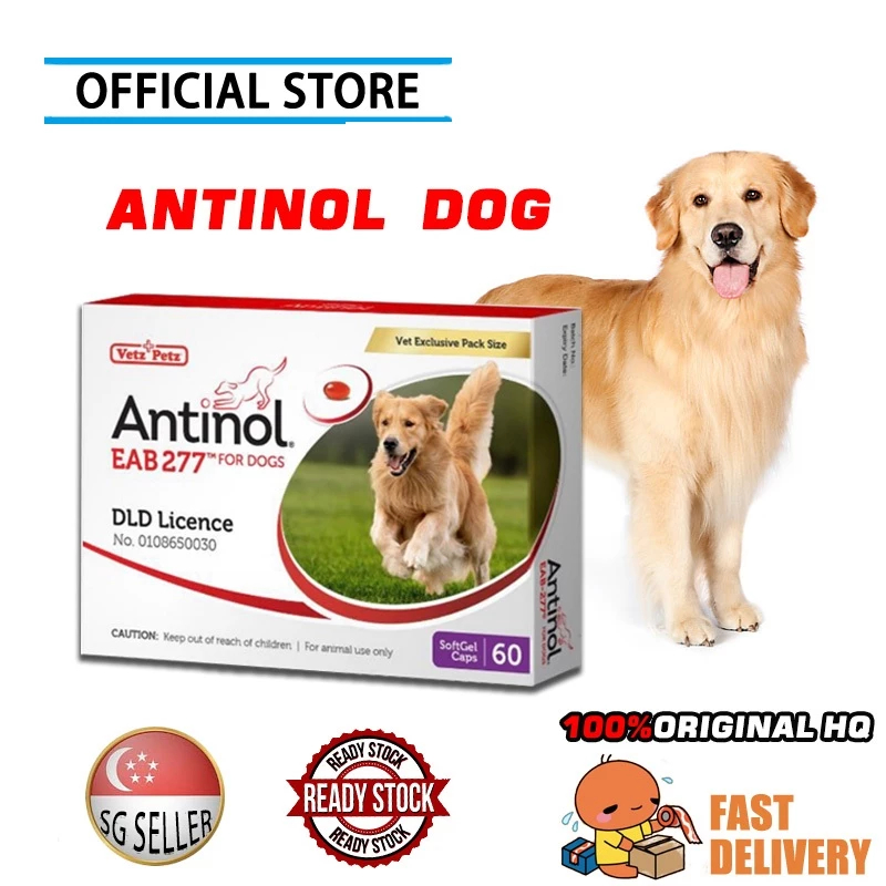 Antinol DOG 60 Caps/1 Box Arthritis Supplements Antinol Contains 60