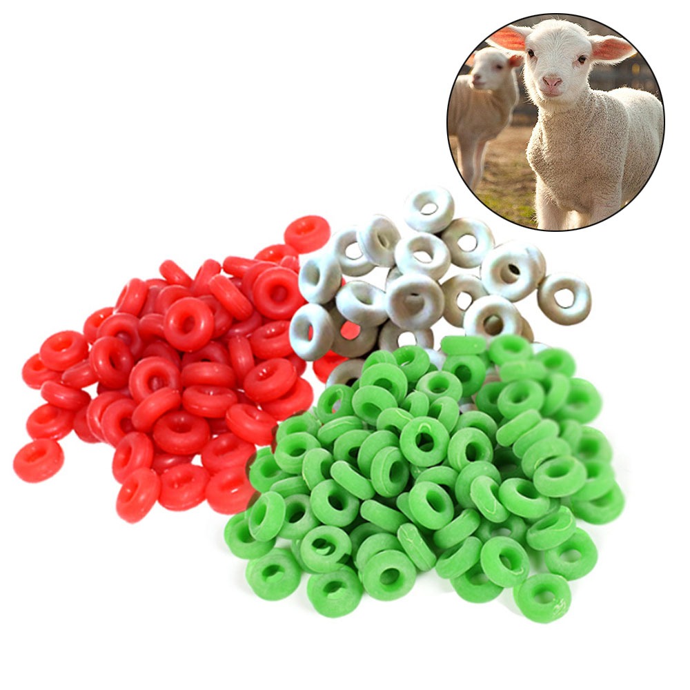 Sheep Tail Cutting Ring, Bloodless Castration Ring,Pig Tail Cutting ...