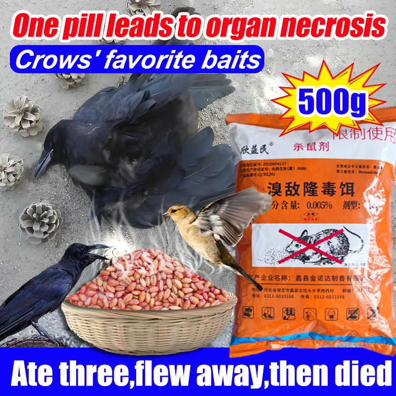 Flew away,then died Bird bait Killer racun burung Crows favorite smell ...