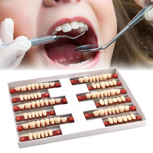 84 Pcs/Box Resin Denture False Teeth Dental Synthetic Polymer Teeth ...