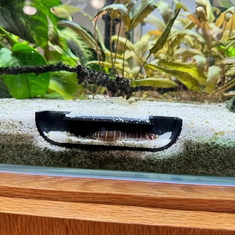 PLA Aquarium Cave Underground Corner Tunnel Bottom Dweller Underground ...