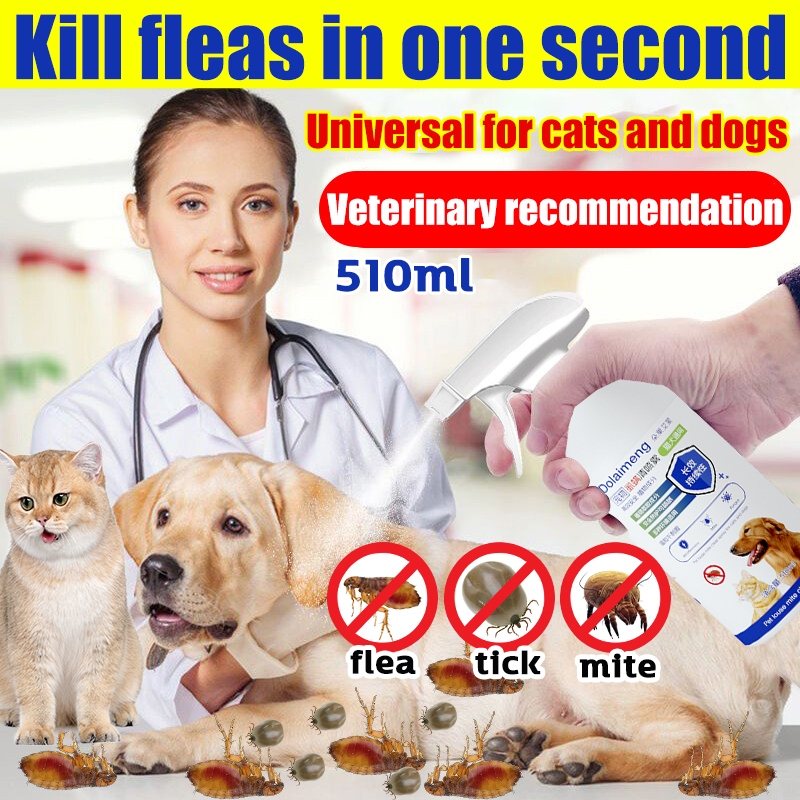 Kill fleas in one second (510ML) dog tick medicine flea and tick spray ...