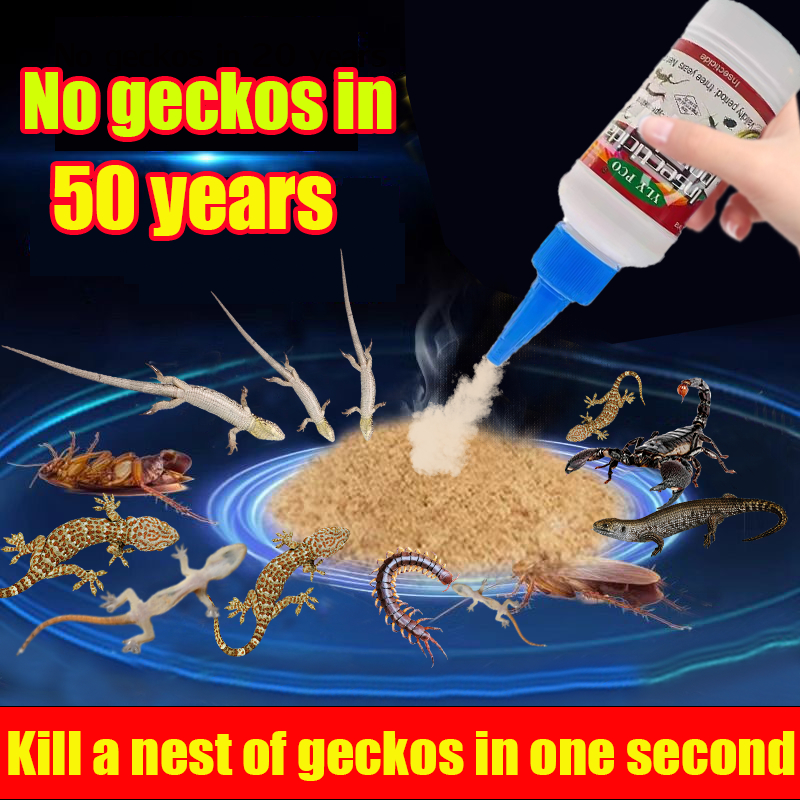 No geckos in 50 years Lizard killer powder Cicak killer Kill a nest of ...