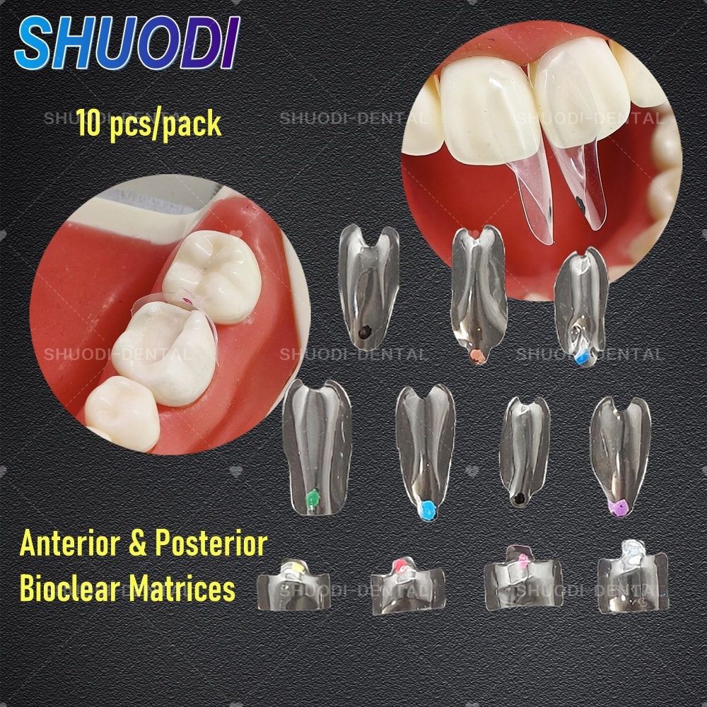 10 pcs/pack Dental Clear Matrix Anterior Posterior Fit Bioclear BT ...