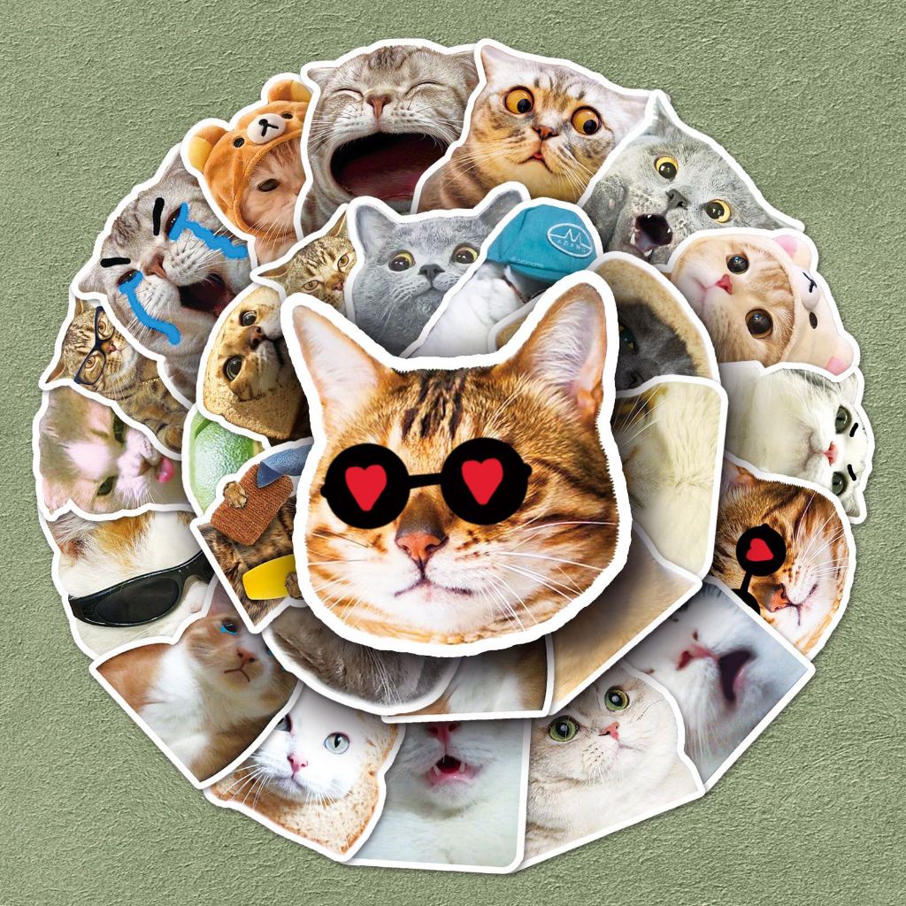 50pcs Funny Animal Cat Meme Stickers Cute Decals PVC Phone Notebook Cup ...