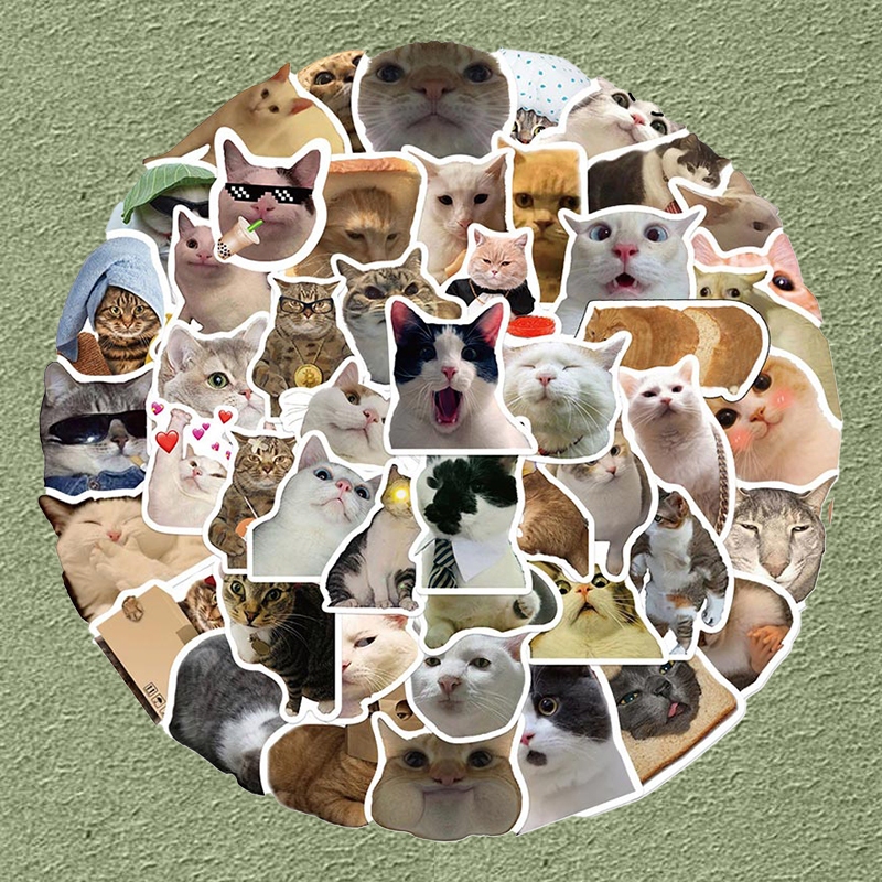 50pcs Cute Funny Cat MEME Animals Stickers Graffiti Phone Laptop Cup ...