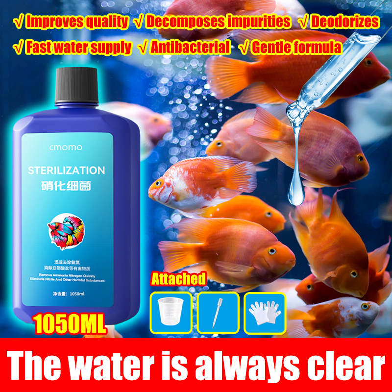 【Purifies water in 1s The water is always clear】 nitrifying bacteria ...