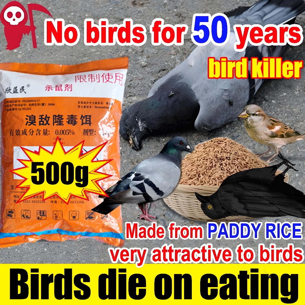 all types of birds Bird Poison Killer Birds&Rats dies after one and ...