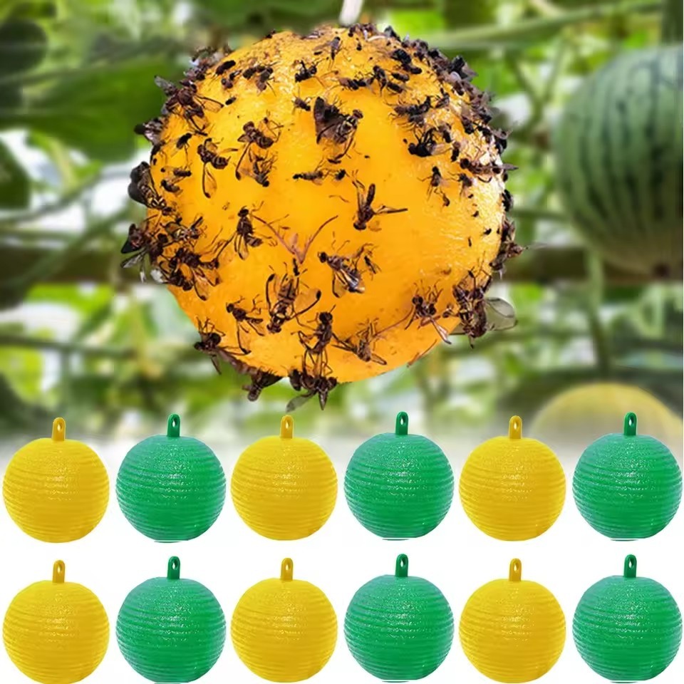 Hanging Sticky Ball for Garden Plants Fruit Fly Catcher Indoor Outdoor ...