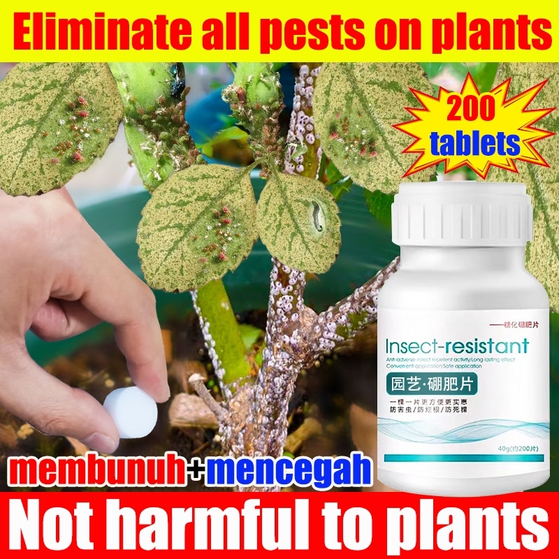 No pests for 10 years Plant Insect Resistant Tablets 200ps Gardening ...