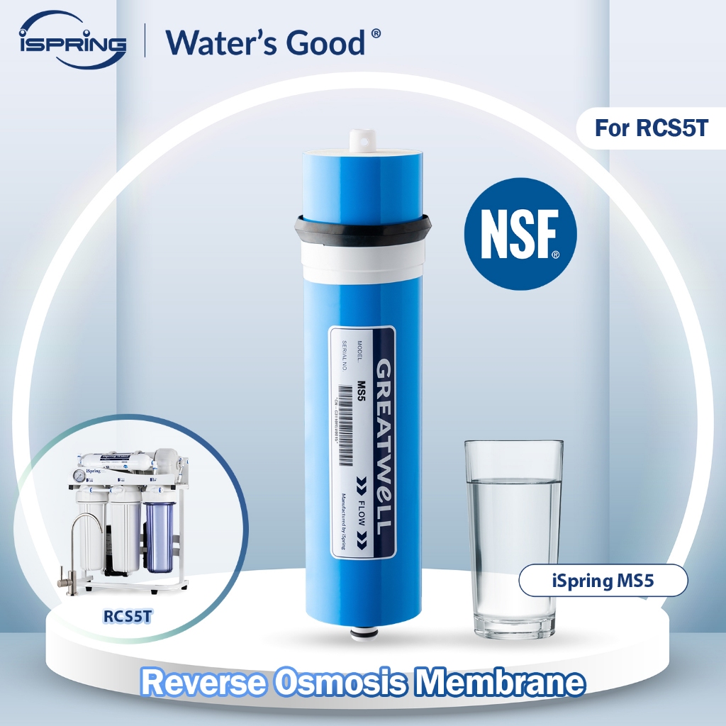 iSpring MS5 500GPD Reverse Osmosis (RO) Membrane Replacement Fits RCS5T ...