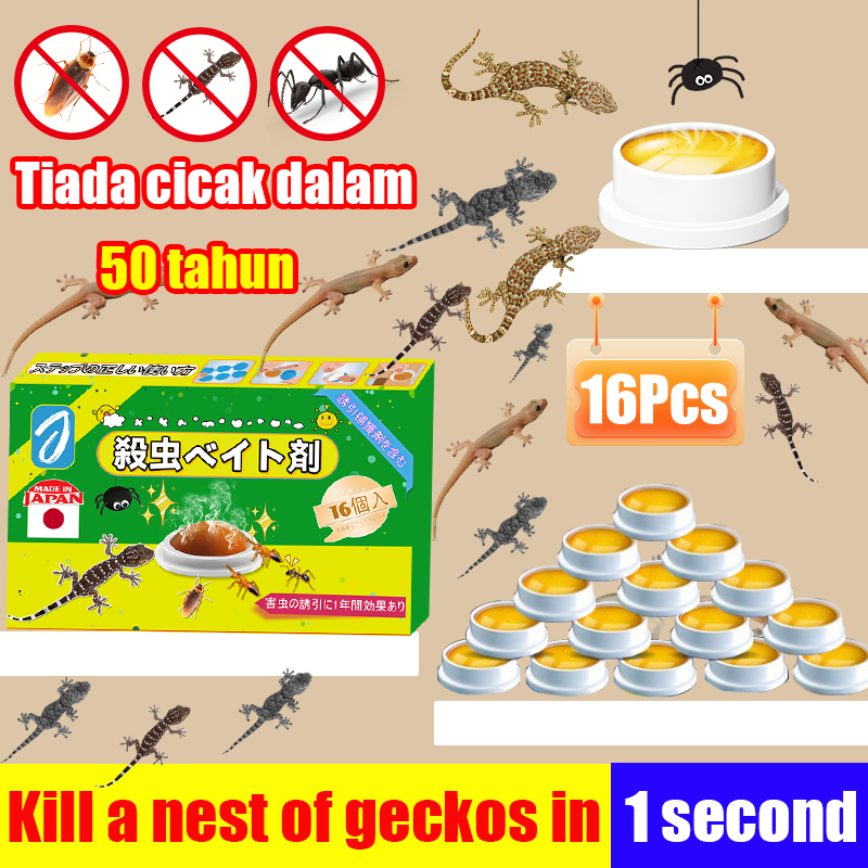 Kill a nest of geckos in 1 second （Invalid refund）Lizard killer bait 16 ...