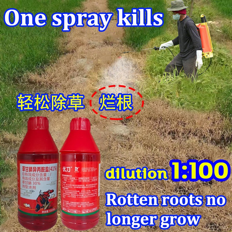 Glyphosate Weed killer One spray kills Rotten roots no longer grow ...