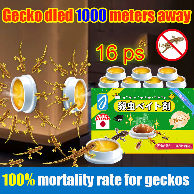Gecko died 1000 meters away lizard killer bait 16 pcs/box No geckos for ...