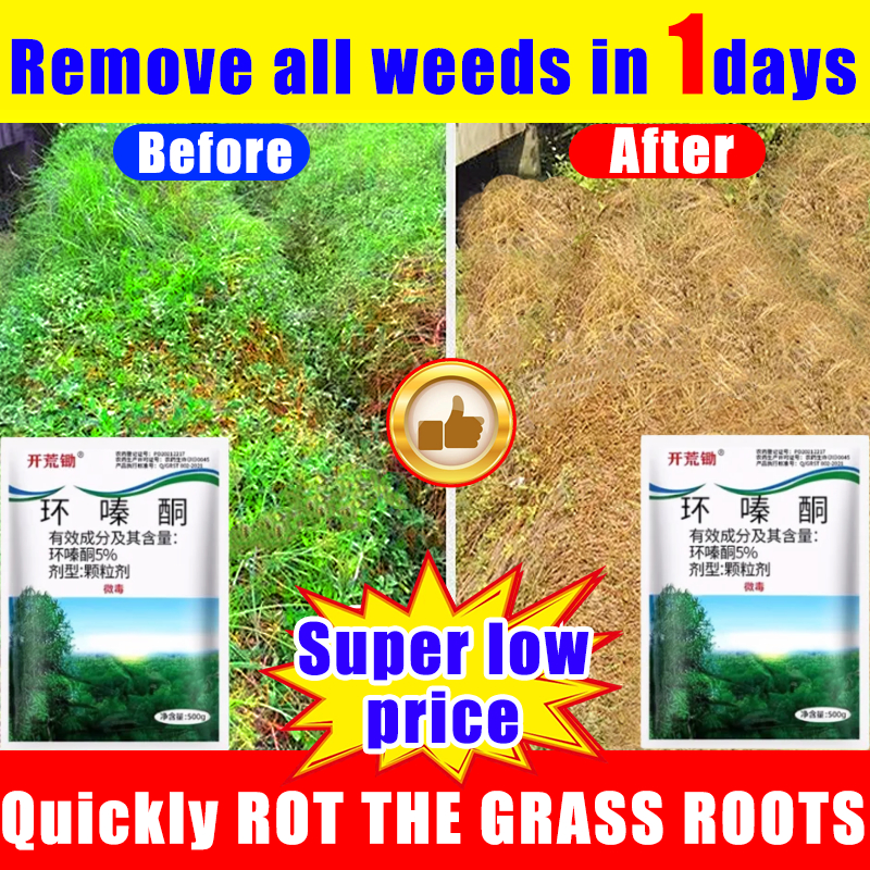 Remove all weeds in 3 days racun rumput cepat mati 500g racun rumput ...