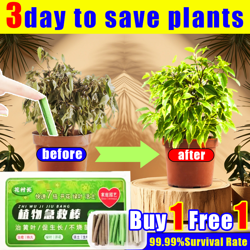 Fertilize in1 second Plants Fertilizer Stick Plant first aid 6in1 baja ...