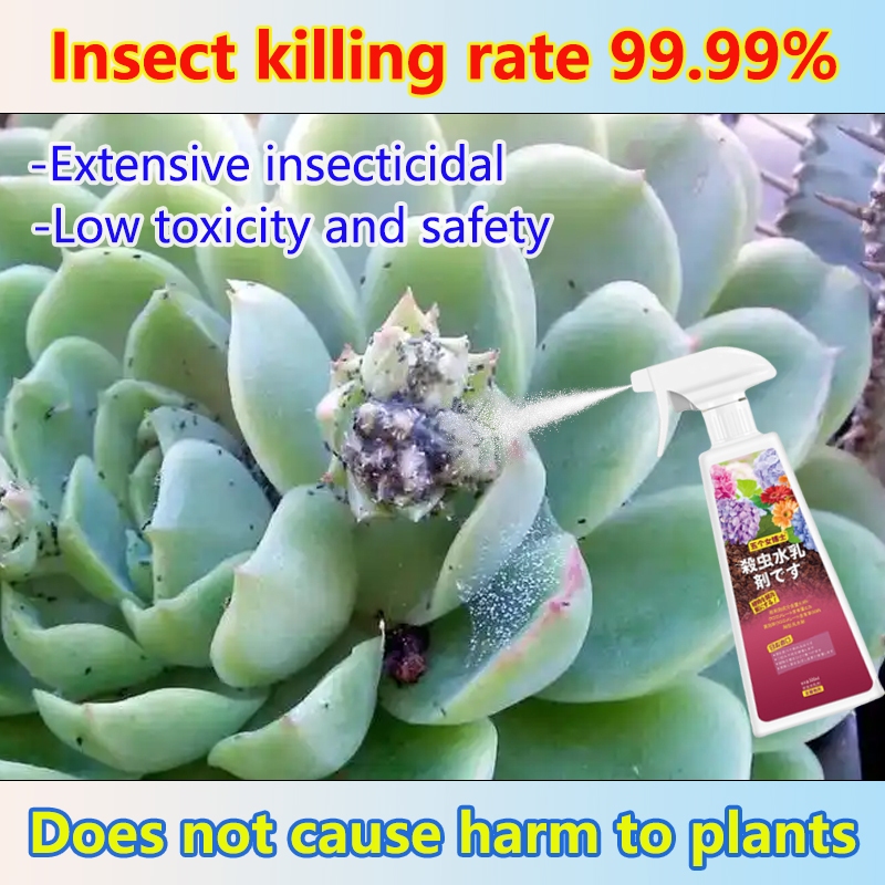 Photo inspiration: Quickly Kill Pests In 30 Seconds Verve Racun Serangga Tanaman Photo Inspiration