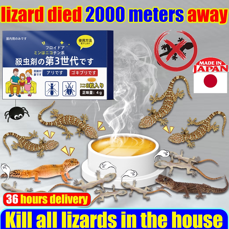 Kills 10000 lizards in 1night Lizard killer 1 Box/8 pieces lizard ...