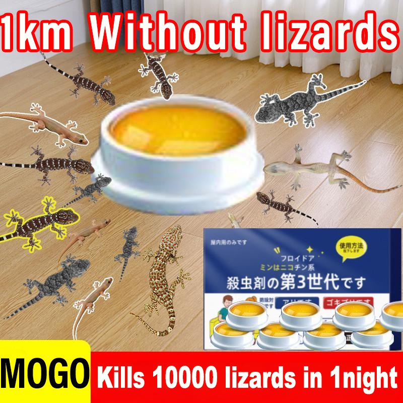 Kills 10000 lizards in 1night Lizard killer MOGO lizard killer bait ...