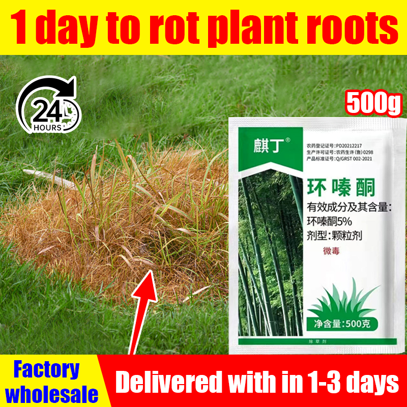 Factory wholesale racun rumput tabur 500g/bag 1day to rot plant roots ...