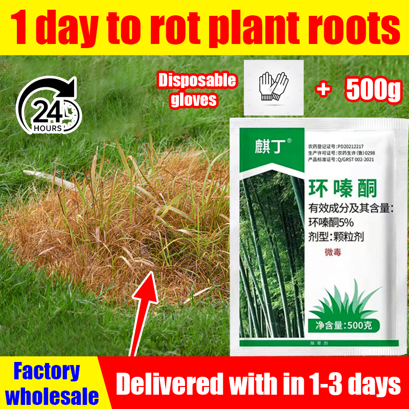 Factory wholesale racun rumput tabur 500g/bag 1day to rot plant roots ...