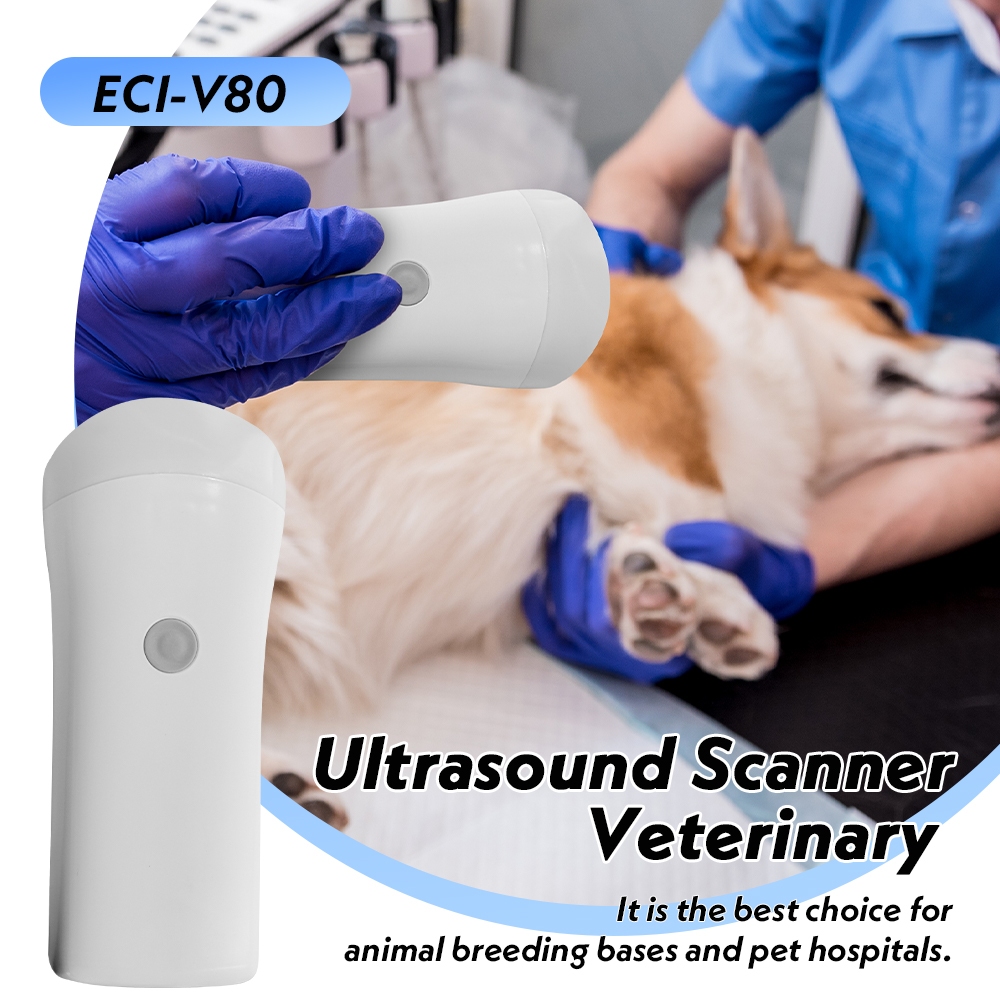 Wireless Veterinary Ultrasound Scanner 80 element electronics Portable ...