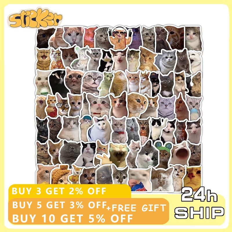 100pcs Funny Meme Cat Graffiti Stickers DIY Luggage Laptop Phone ...