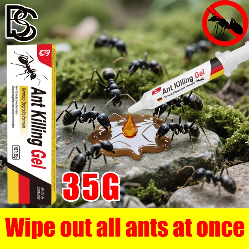 🚫🐜 No more ants in sight 🐜🚫 Ubat semut Ant killer Ant bait Shake before ...