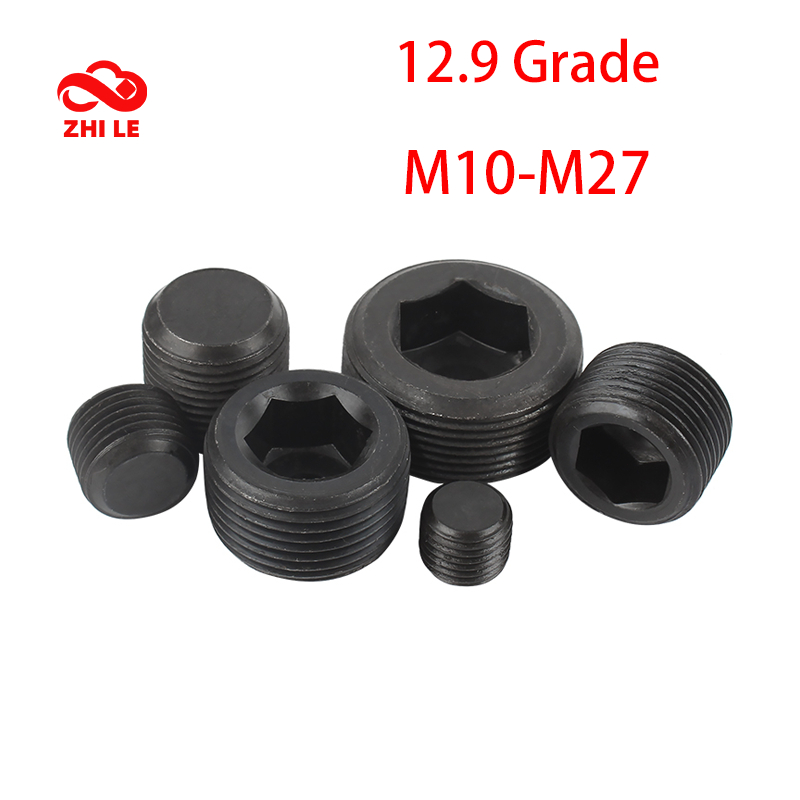 M10-M27 Male Thread Hex Socket Blocking End Cap 12.9 Grade Hexagonal ...