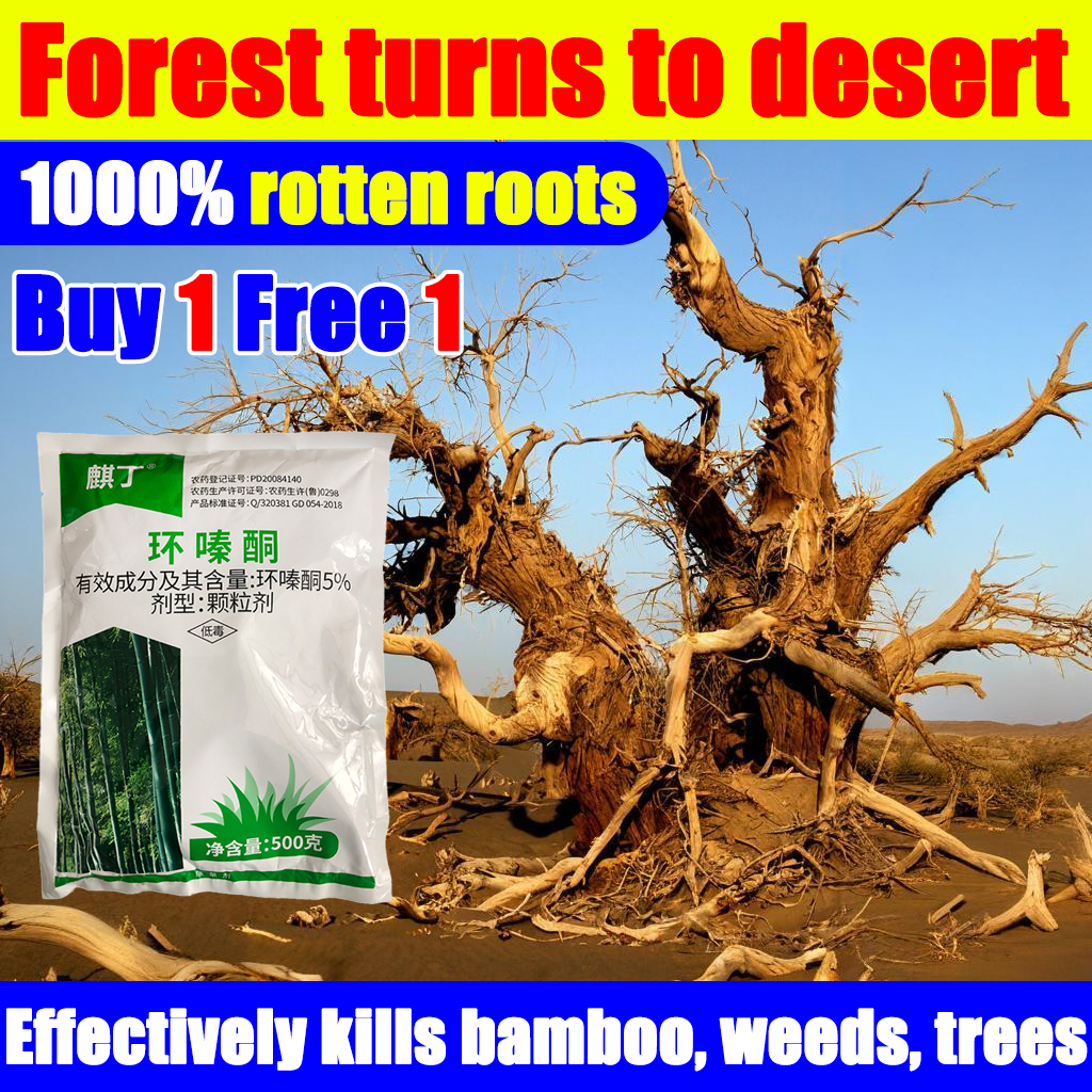 Big trees dead 1 day racun rumput cepat mati racun rumput paling ...