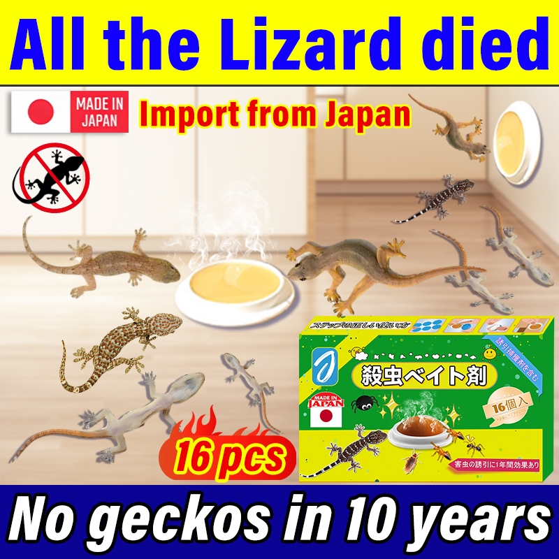 No More Lizard Problems! J· Tang TropiKill Lizard killer 16 Pcs/Box ...