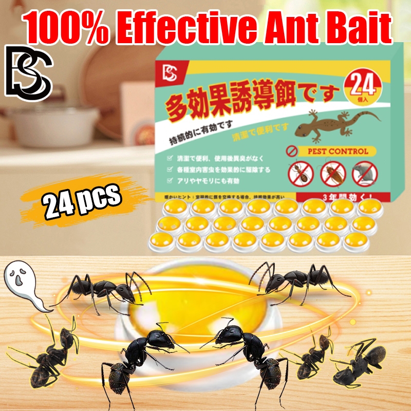 🐜Ants wiped out🐜Ubat semut Ant killer Racun semut Ant bait 螞蟻藥 蚂蚁药 ...