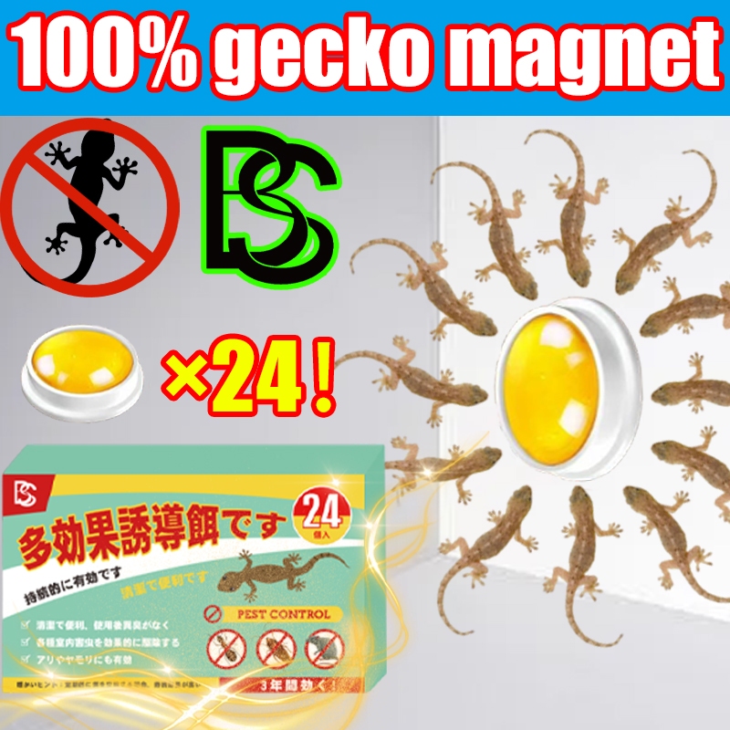 🦎Lure, Trap, Done🦎 Racun cicak Ubat cicak Lizard killer Lizard trap ...