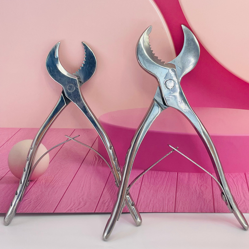 Stainless Steel Dental Plaster Scissors Gypsum Scissors Dentistry ...