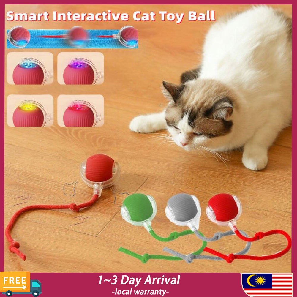 (🔥MY stock🔥) 2pcs Electric Interactive Cat Toy Ball Rechargeable Type-C ...